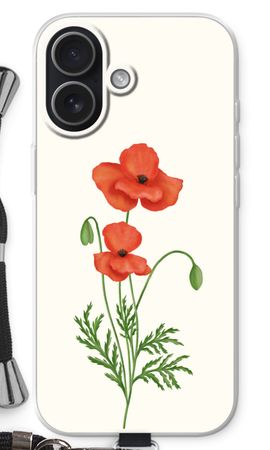Red poppy