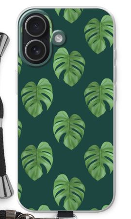 Monstera leaves