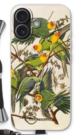 Carolina Parrot