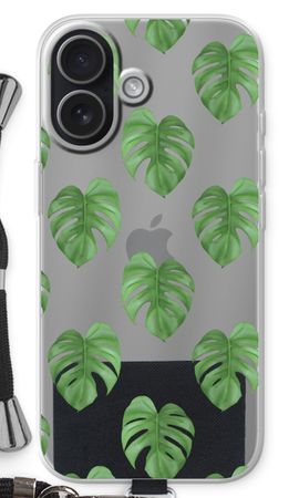 Monstera leaves