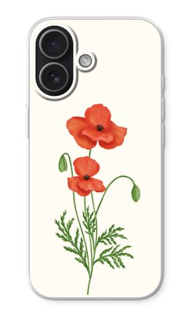 Red poppy