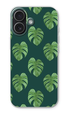Monstera leaves