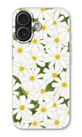 Summer Daisies