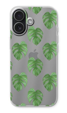Monstera leaves