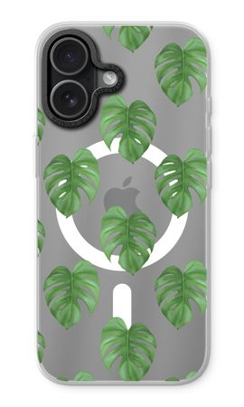 Monstera leaves