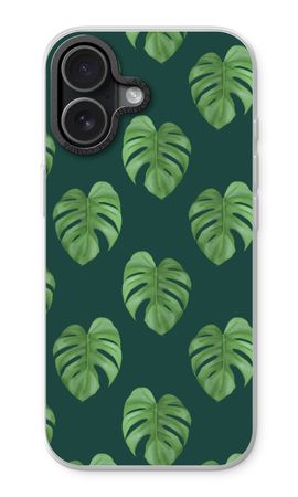 Monstera leaves
