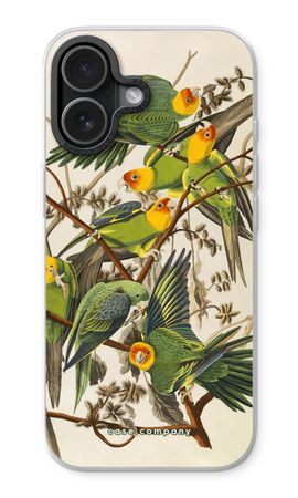 Carolina Parrot