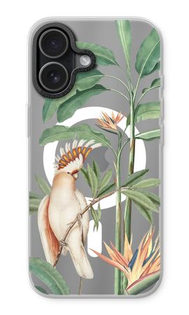 Tropical Parrot