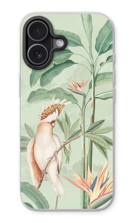 Tropical Parrot