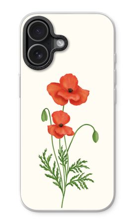 Red poppy