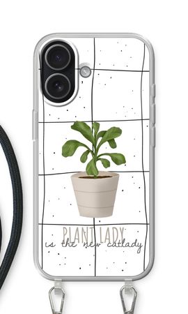 Houseplant on windowpane
