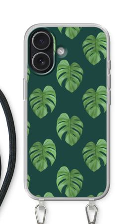 Monstera leaves