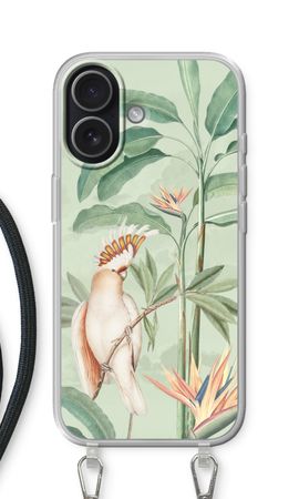 Tropical Parrot