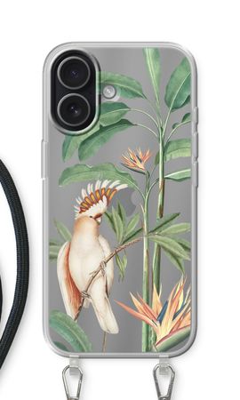 Tropical Parrot