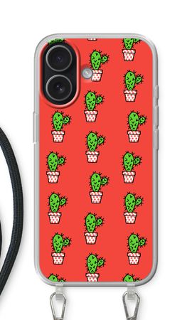 Mini cactus