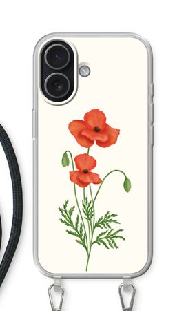 Red poppy