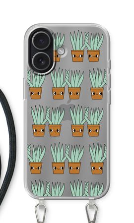 Sansevieria