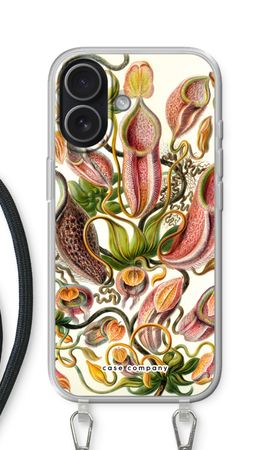 Haeckel Nepenthaceae