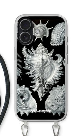 Haeckel Prosobranchia