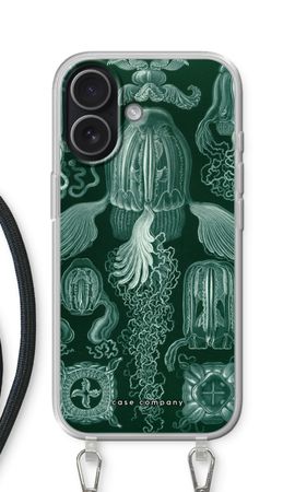 Haeckel Cubomedusae