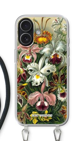 Haeckel Orchidae