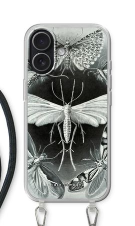 Haeckel Tineida