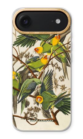Carolina Parrot