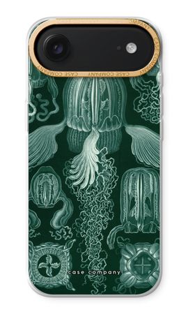 Haeckel Cubomedusae