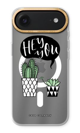 Hey you cactus