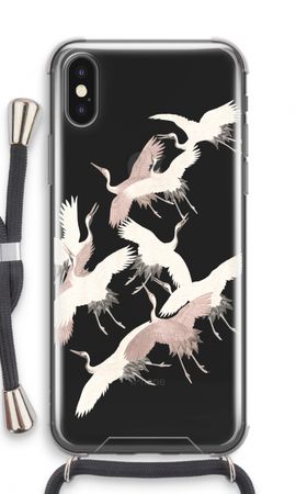 Japanese Crane Birds