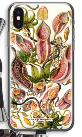 Haeckel Nepenthaceae