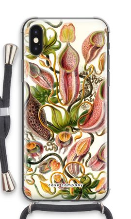 Haeckel Nepenthaceae