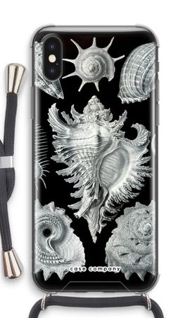 Haeckel Prosobranchia