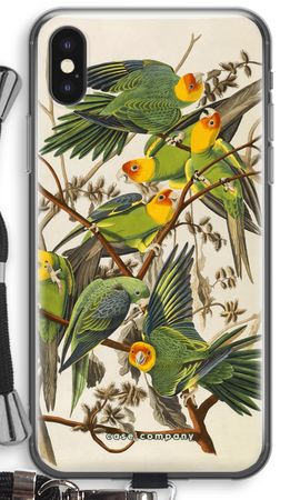 Carolina Parrot