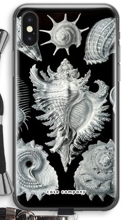 Haeckel Prosobranchia