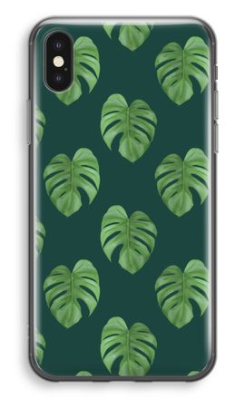 Monstera leaves