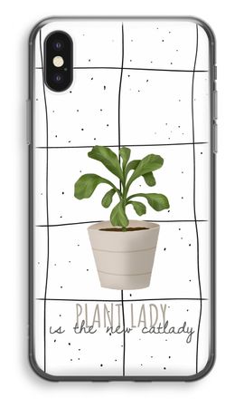 Houseplant on windowpane