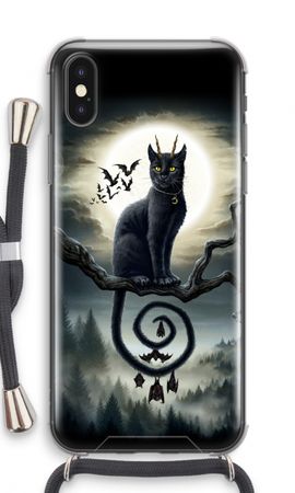 Moonlight Companions