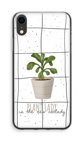 Houseplant on windowpane