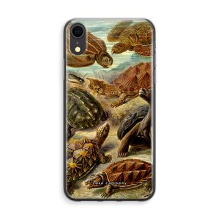 Haeckel Chelonia