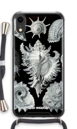 Haeckel Prosobranchia