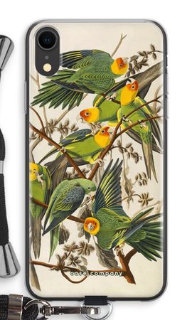Carolina Parrot