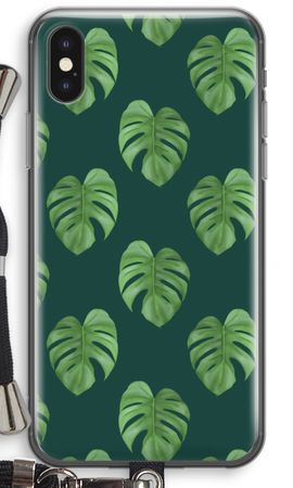 Monstera leaves