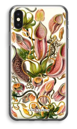 Haeckel Nepenthaceae