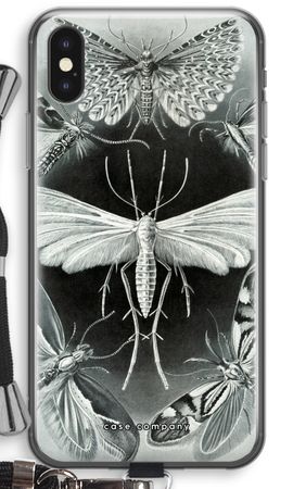 Haeckel Tineida