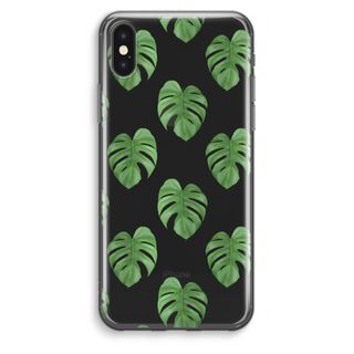 Monstera leaves