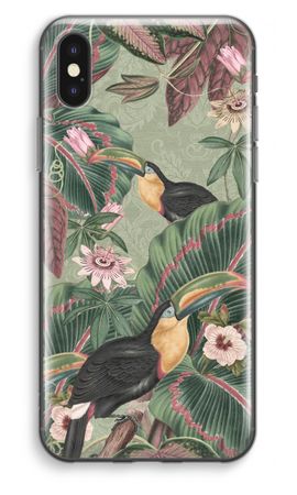 Tropical jungle toucan