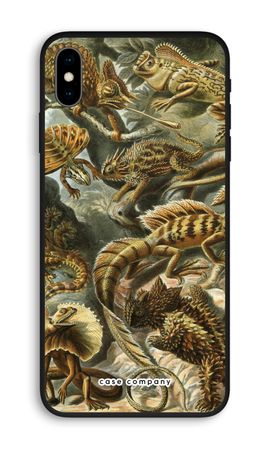 Haeckel Lacertilia