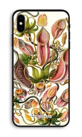 Haeckel Nepenthaceae