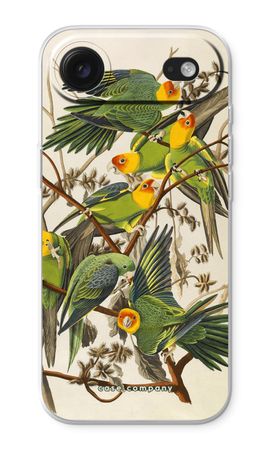 Carolina Parrot